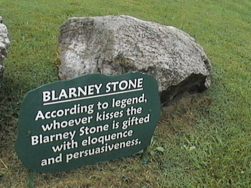 Lanesville B&B Blarney Esterno foto